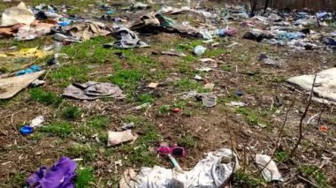 Ormanda yere bir sürü çöp düşüyor. Çevre kirliliği sorunu. Plastik ve çöp ile çevre kirliliği.