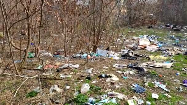 Ormanda Yere Bir Sürü Çöp Düşüyor Çevre Kirliliği Sorunu Plastik — Stok video