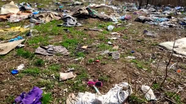 Ormanda Yere Bir Sürü Çöp Düşüyor Çevre Kirliliği Sorunu Plastik — Stok video