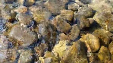Güneşli bir günde taşların üzerinde akan berrak suyun yakın çekim, su hareket halinde parıldıyor.