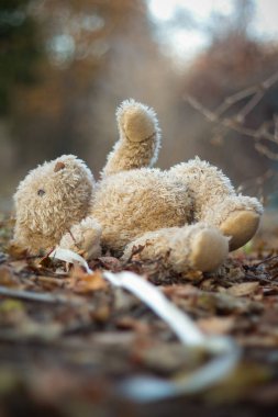 Yağmurda sokağa atılmış beyaz bir kurdele ile Oyuncak ayı