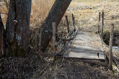 Büyümüş çalılar ve ağaçların arka planda dere üzerinde eski terk edilmiş geçit