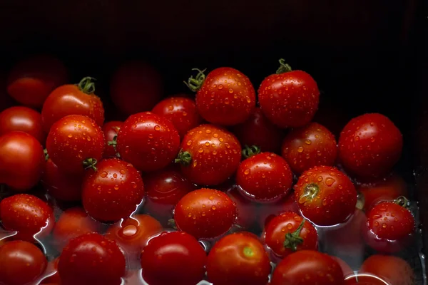 Close-up of lots of small fresh tomatoes in the water in the sink before cooking — Stock Photo, Image