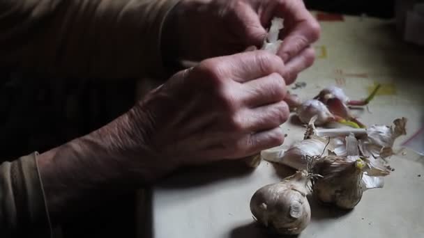 Las Manos Una Anciana Enferma Limpian Tocan Las Cabezas Ajo — Vídeos de Stock