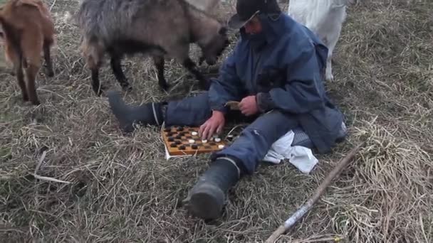 乱雑な服を着た老人がチェッカーを遊んで丘の上に座り 枯れた自然を背景に自分のヤギの群れを放牧している — ストック動画
