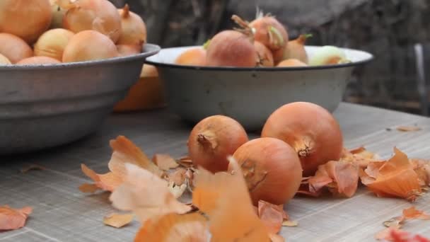 Close-up van de hand van een oude vrouw pikt uien voor het koken in de keuken, biologische groenten, haar eigen gewas — Stockvideo