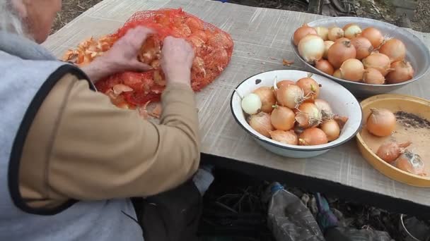 Uma velha com cabelo grisalho pega cebola antes de cozinhar na cozinha, vegetais orgânicos, sua própria colheita. — Vídeo de Stock