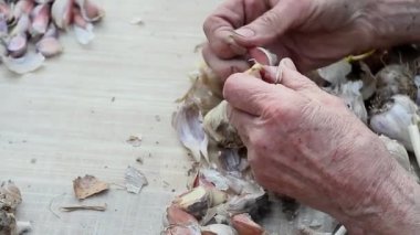 Yaşlı kadınlar el leri eleme ve sarımsak soyma pişirme veya dışarıda toprağa dikim önce yakın çekim, eski bir çiftlikte yaşam