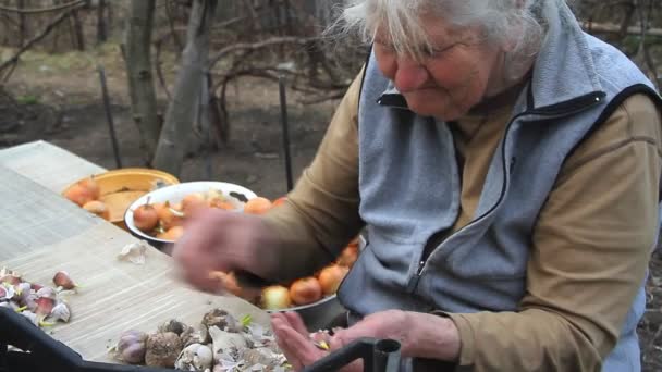 Egy idős nő, szürke haja felveszi és tisztítja a fokhagymát főzés előtt, vagy ültetés a földre az utcán, az élet egy régi gazdaságban — Stock videók