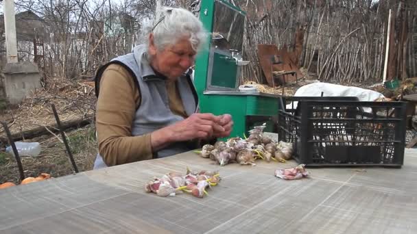 Gri saçlı yaşlı bir kadın, sokakta yemek pişirmeden veya dikimyapmadan önce sarımsak ları alır ve temizler, eski bir çiftlikte hayat — Stok video