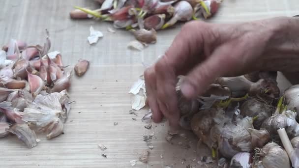 Close-up de mãos de mulheres idosas peneirar e descascar alho antes de cozinhar ou plantar no chão fora, a vida em uma antiga fazenda — Vídeo de Stock