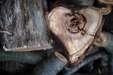 Bir ev, arka plan veya konsept ısıtma kıtapir odun kesilmiş bir kalp şeklinde testere yakın çekim
