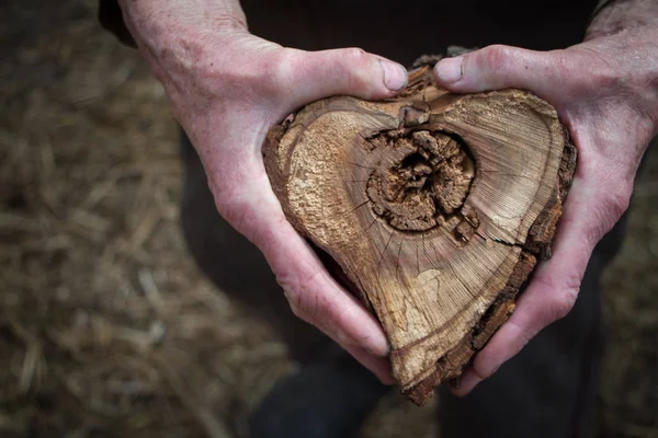 Closeup of male hands holding a heart-shaped wood cut for heating a house, background or concept