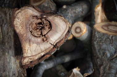 Bir ev, arka plan veya konsept ısıtma kıtapir odun kesilmiş bir kalp şeklinde testere yakın çekim