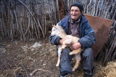 Dağınık giysiler içinde çok yaşlı bir adam eski bir çiftliğin bahçesinde bir taburede oturuyor ve elinde beyaz bir keçi tutuyor