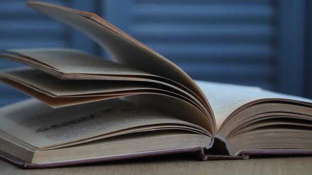 Masada Açık Bir Kitabın Yakın Çekim Sayfalar Rüzgarda Karıştırın Seçici — Stok video