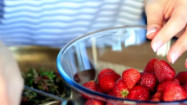 Primer Plano Las Manos Femeninas Pelar Fresas Grandes Frescas Para — Vídeos de Stock