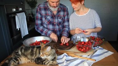 Yetişkin çift adam ve kadın kabuğu ve Çilek reçel için çilek kesim, birbirlerine yem, gülmek ve eğlenin, Maine Coon Kitten mutfak masasında uyuyor