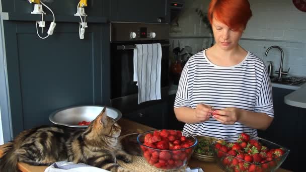 成年夫妇男人和女人剥草莓果酱和切草莓果酱 互相喂食 笑和有乐趣 缅因库恩小猫睡在厨房的桌子上 — 图库视频影像