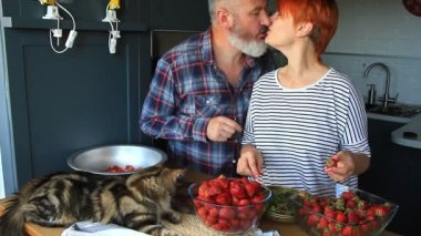 Yetişkin çift adam ve kadın kabuğu ve Çilek reçel için çilek kesim, birbirlerine yem, gülmek ve eğlenin, Maine Coon Kitten mutfak masasında uyuyor
