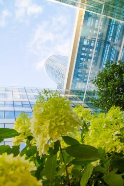 Mavi bulutlu gökyüzüne karşı Paris La Defense iş bölgesinin cam gökdelenlerin sardunya çiçekleri ile alt görünümü