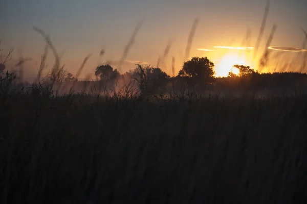 Paisaje con un prado de hierba sobre el telón de fondo de un amanecer, sol naranja brillante, enfoque selectivo — Foto de Stock