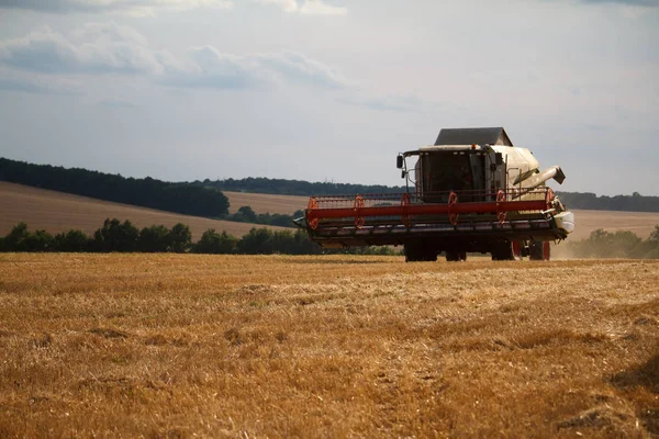 Комбайн з піднятим механізмом їде на стерну після збирання пшеничних полів для збирання врожаю — стокове фото