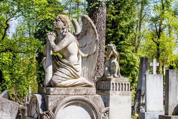 Памятники и надгробия на Лычаковском кладбище во Львове, древние могилы и захоронения — стоковое фото