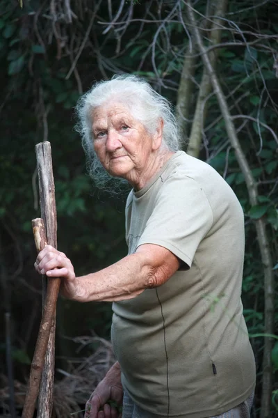 一个老妇人用关节炎的脚穿过森林的肖像靠在一根棍子上，作为拐杖，选择性的焦点 — 图库照片