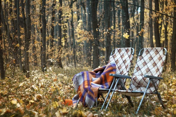 Dwa składane leżaki i ciepłą wełną kratę w lesie jesienią wśród upadłych liści, przytulna koncepcja jesienna, selektywne skupienie — Zdjęcie stockowe