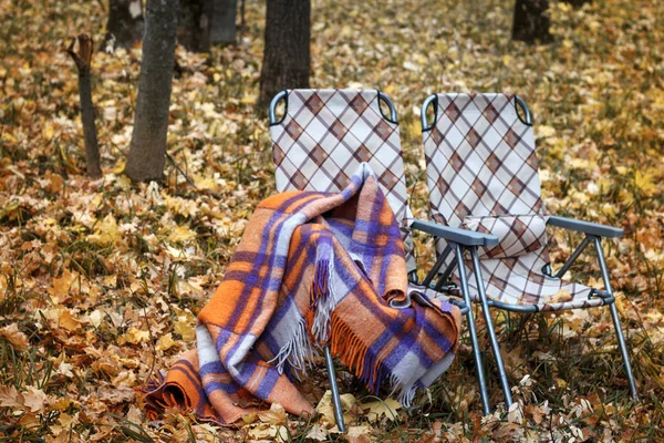 两个折叠的太阳椅和温暖的羊毛格子在秋天的森林中，在秋天的落叶，一个舒适的秋天的概念，选择性的焦点 — 图库照片