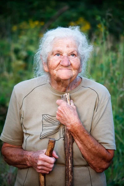 Portrait en gros plan d'une vieille femme aux cheveux gris souriant et levant les yeux, reposant son menton sur un bâton comme si elle marchait avec une canne, visage dans les rides profondes, mise au point sélective — Photo