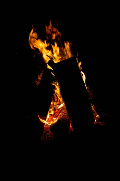 Ormanda yanan bir şenlik ateşinin yakın çekim, odun ve nehir tarafından yanan közler, seçici odak — Stok fotoğraf
