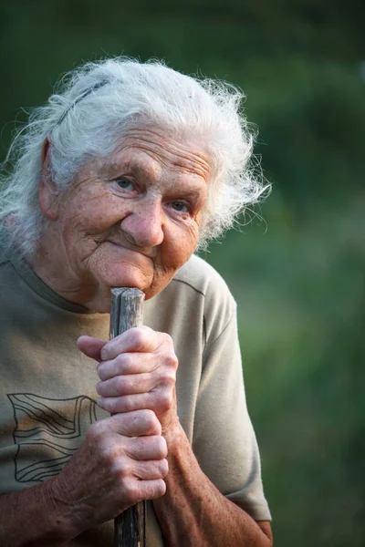 一张白发苍苍的老妇人的特写画像，面带微笑，抬头一看，把下巴放在棍子上，仿佛用拐杖走路，脸上满是皱纹，有选择性的焦点 — 图库照片