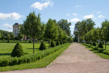 Yeşil kesilmiş ağaçlar ve çalılar, copyspace ile ezilmiş taş yolu ile Park sokak