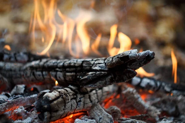 Ormanda yanan bir şenlik ateşinin yakın çekim, odun ve sonbahar ormanında yanan közler, seçici odak — Stok fotoğraf