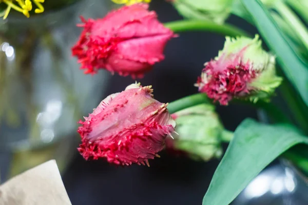 Close-up extremo de um buquê de tulipas de veludo rosa em um fundo embaçado de uma loja de flores, foco seletivo — Fotografia de Stock