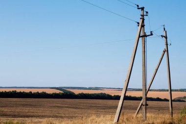 Sonbahar tepeleri ve sakal, seçici odak bir arka plan üzerinde güç hatları iki sütun