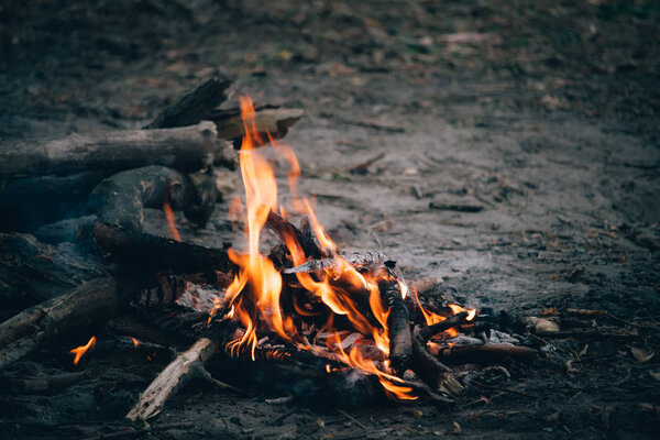 Close-up of an orange flame of an evening bonfire in the forest, a picnic in nature, selective focus