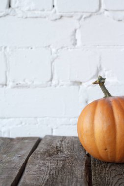 Şükran masasında yakın çekim sonbahar balkabağı, beyaz tuğla zemin, seçici odak