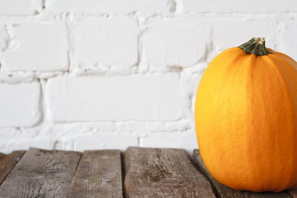 Gros plan citrouille d'automne sur la table d'Action de grâces, fond de brique blanche, mise au point sélective — Photo