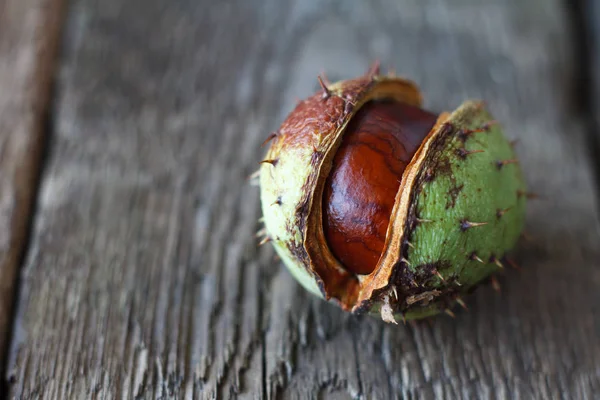 Extreme close-up several ripe chestnuts on a dark wooden table, selective focus — Stock Photo, Image