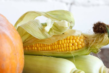 Ahşap bir şükran masada yakın çekim sonbahar balkabağı ve mısır, beyaz tuğla zemin, seçici odak