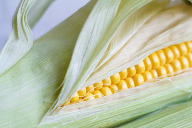 Ahşap şükran masa, beyaz tuğla fon, seçici odak üzerinde son derece yakın çekim sonbahar mısır