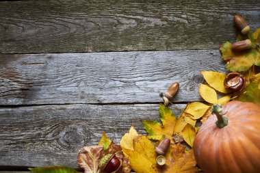 Şükran Günü sonbaharı arka planında koyu ahşap bir zemin, kabaklar, kurumuş yapraklar, meşe palamutları ve kestaneler, seçici bir odak
