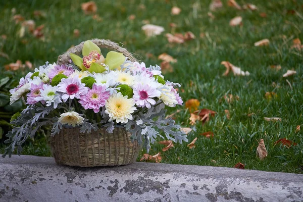 Podzimní kytice pestrobarevných chryzantémů v košíku na pozadí zelené trávy, selektivní zaměření — Stock fotografie