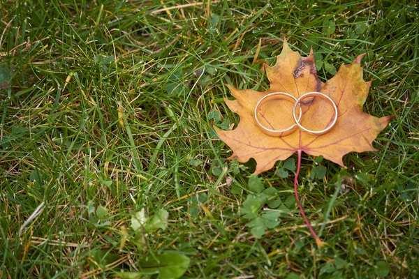 Dois anéis de casamento de ouro em uma folha de bordo laranja em um fundo de grama verde, foco seletivo — Fotografia de Stock