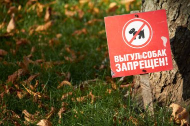 Düşmüş akçaağaç yapraklı yeşil çimenler ve Ukraynaca yazılı bir tabela: köpek gezdirmek yasaktır
