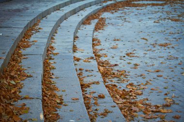 Turuncu yapraklarla kaplı mermer basamaklar, seçici odaklanma