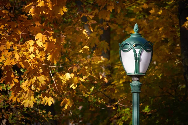 Street lamp in the park on a background of orange foliage of trees, selective focus